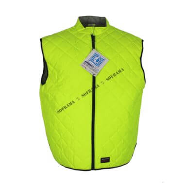 Romanian hi-vi yellow jacket