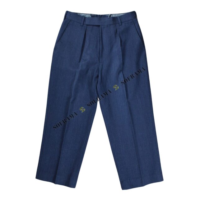 Pantalon de cérémonie bleu RAF #1