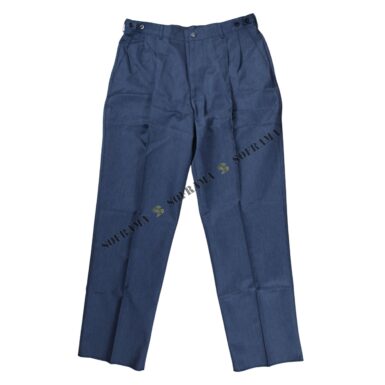 Pantalon de cérémonie bleu RAF #2