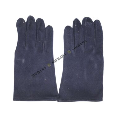 Gants de l'armée française